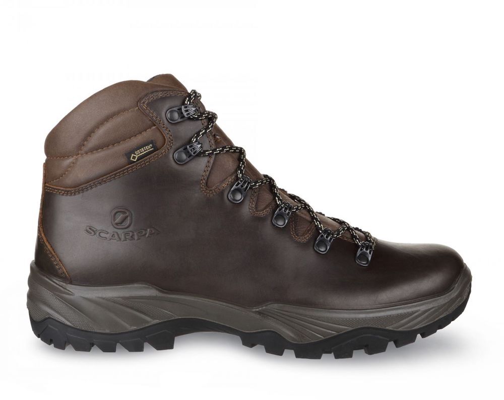 Scarpa Terra GTX - Chaussures trekking homme | Hardloop