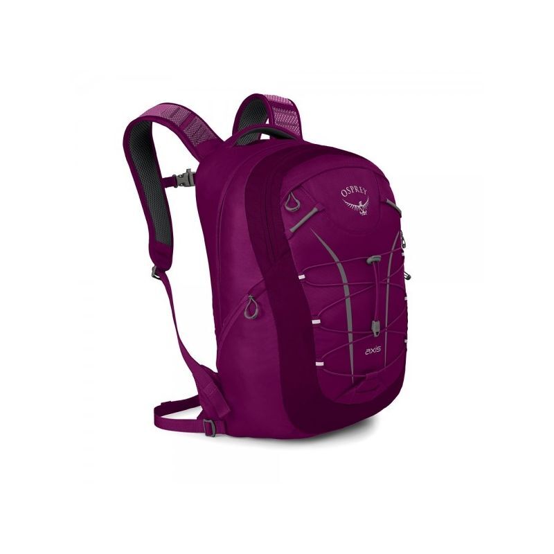 osprey axis 18 backpack Osprey - Axis 18