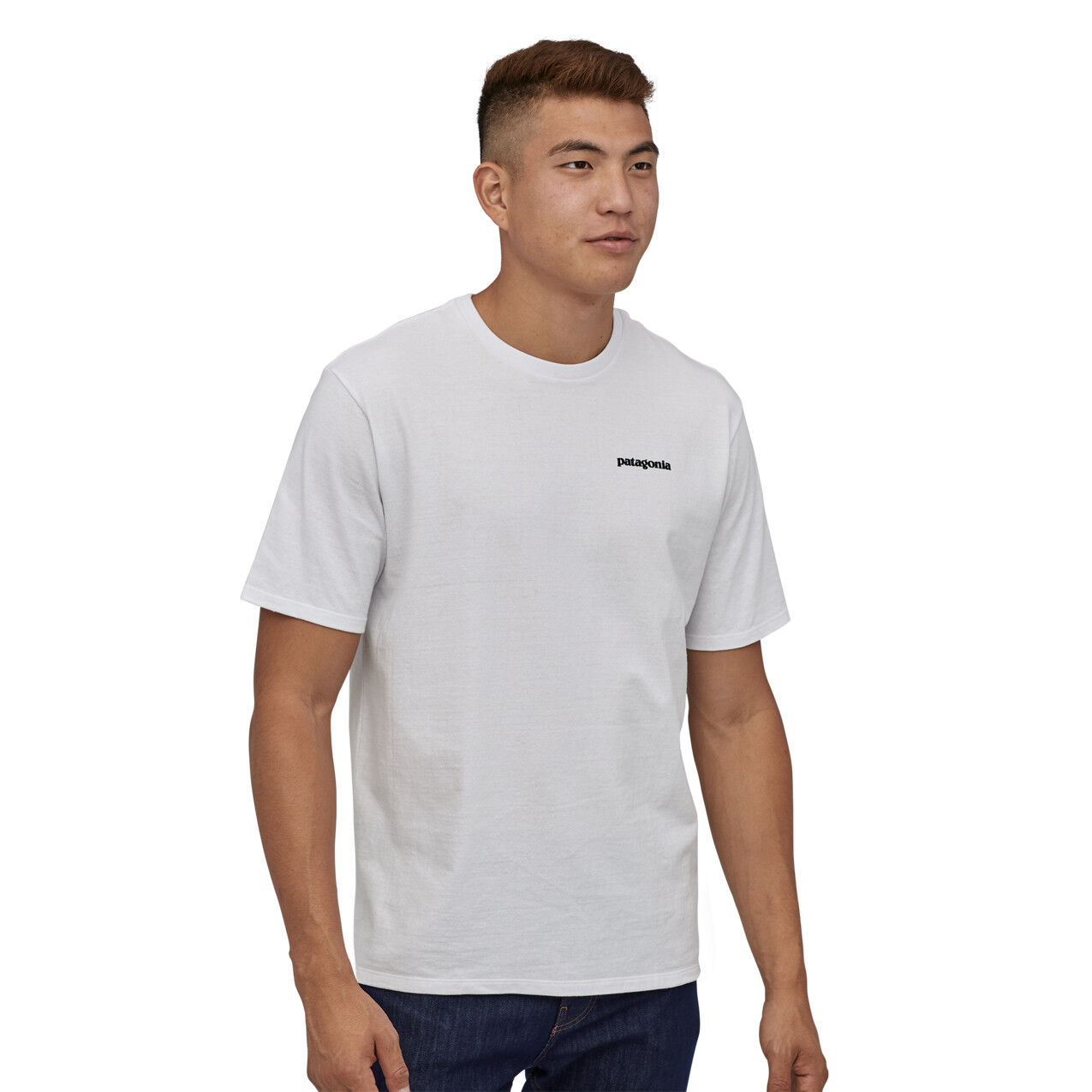 Patagonia P-6 Logo Responsibili-Tee - T-shirt - Herren