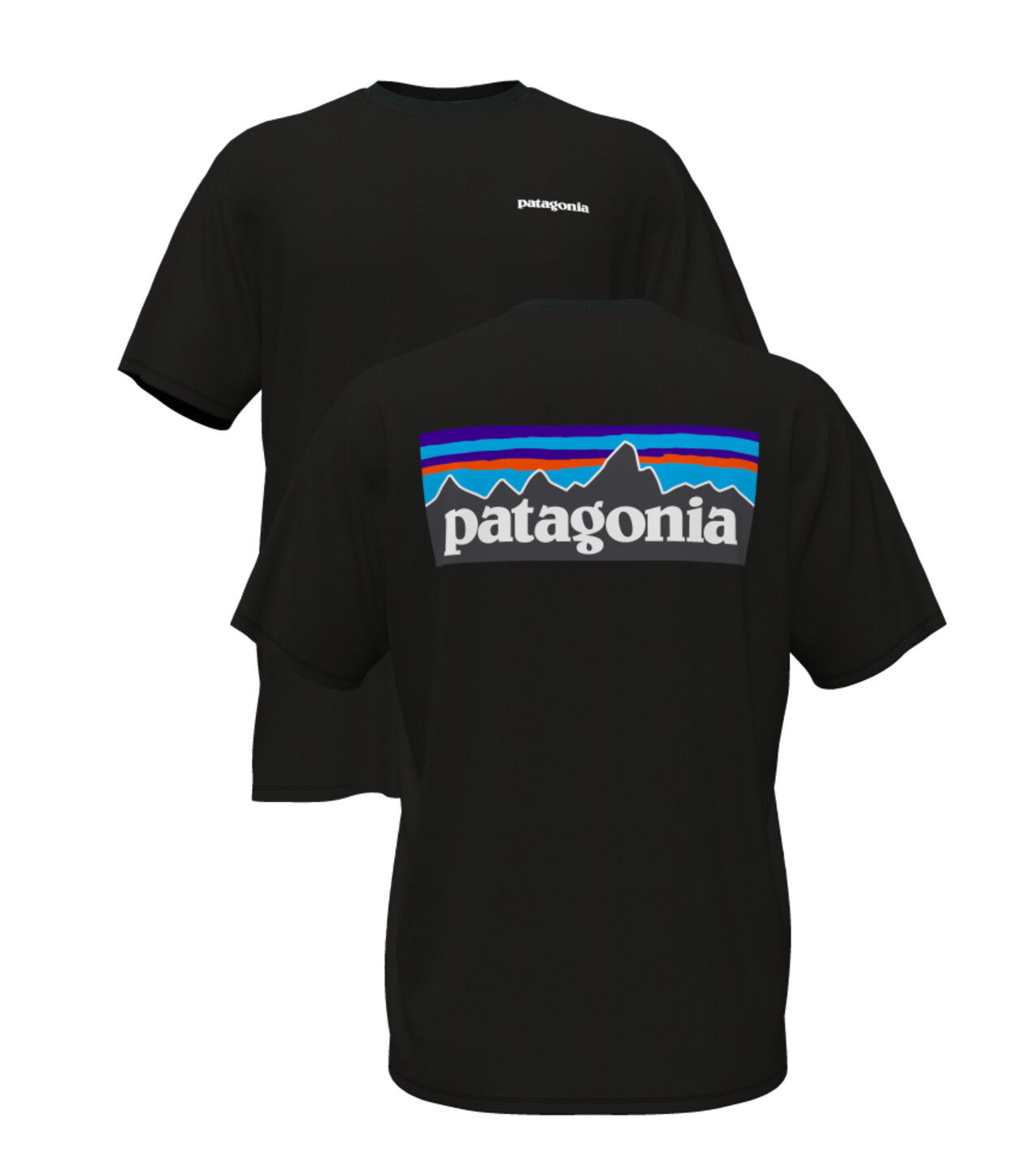 Patagonia t shorts on sale