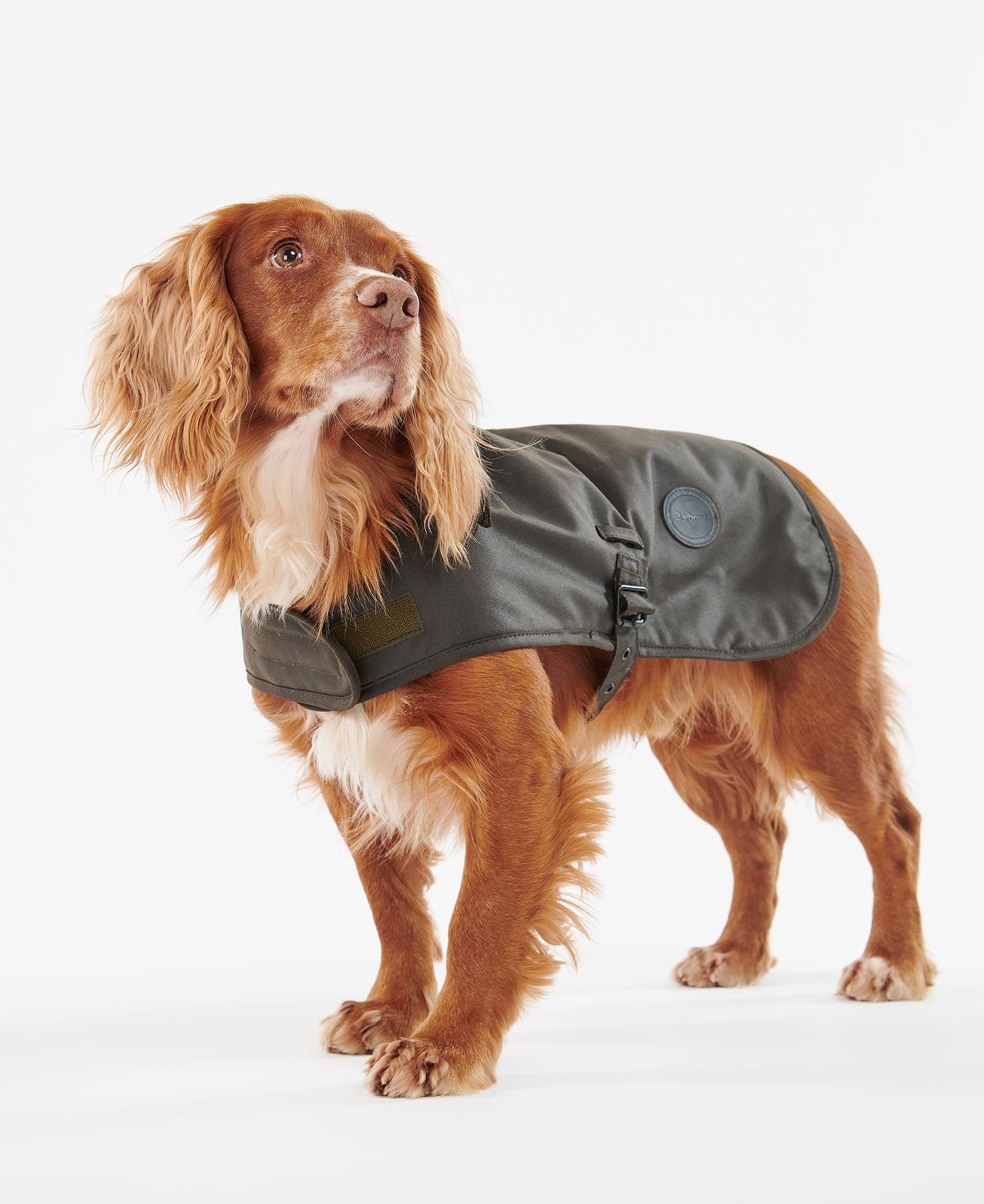 Barbour Wax Dog Coat - Cappottini per cani | Hardloop