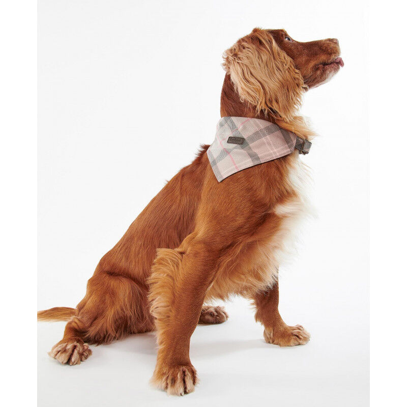Tartan Dog Bandana Hundezubehor