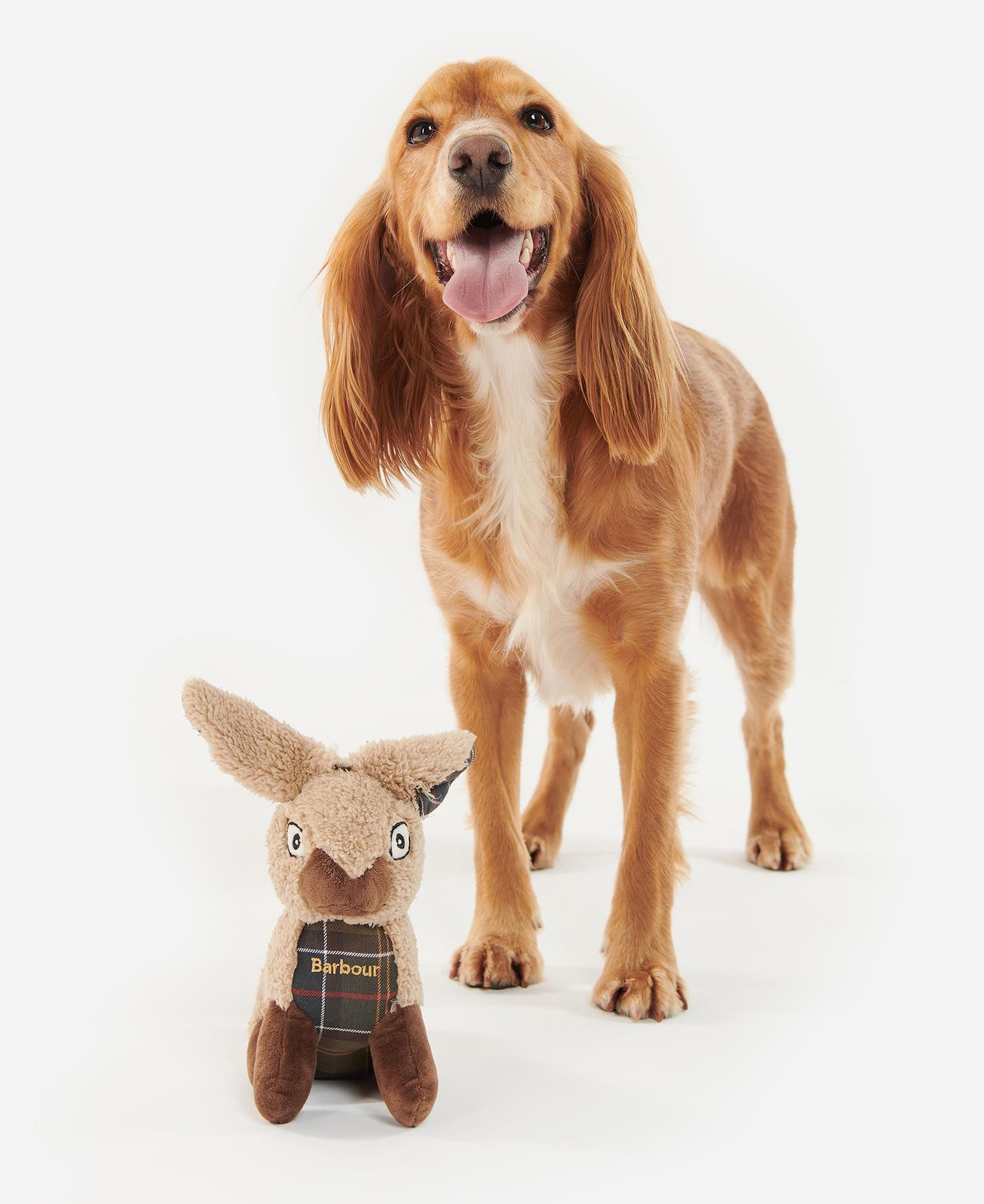 Barbour Dog Toy - Accessoire pour chien | Hardloop