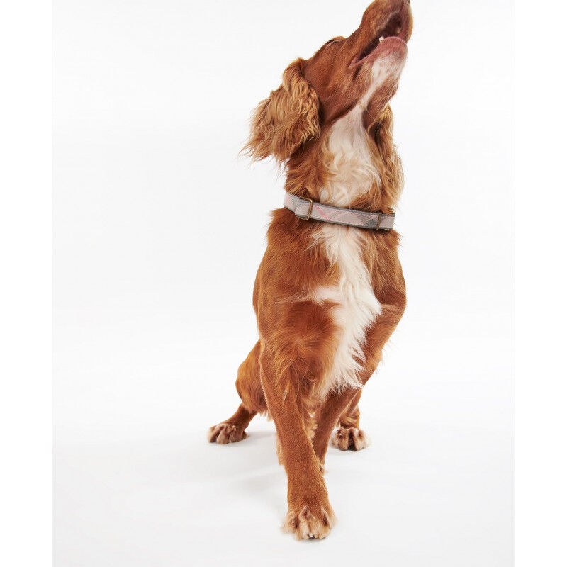 Barbour Reflective Tartan Dog Collar Dog collar Hardloop