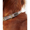 Barbour Reflective Tartan Dog Collar - Collier pour chien | Hardloop