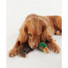 Barbour Dog Toy - Dog gear | Hardloop
