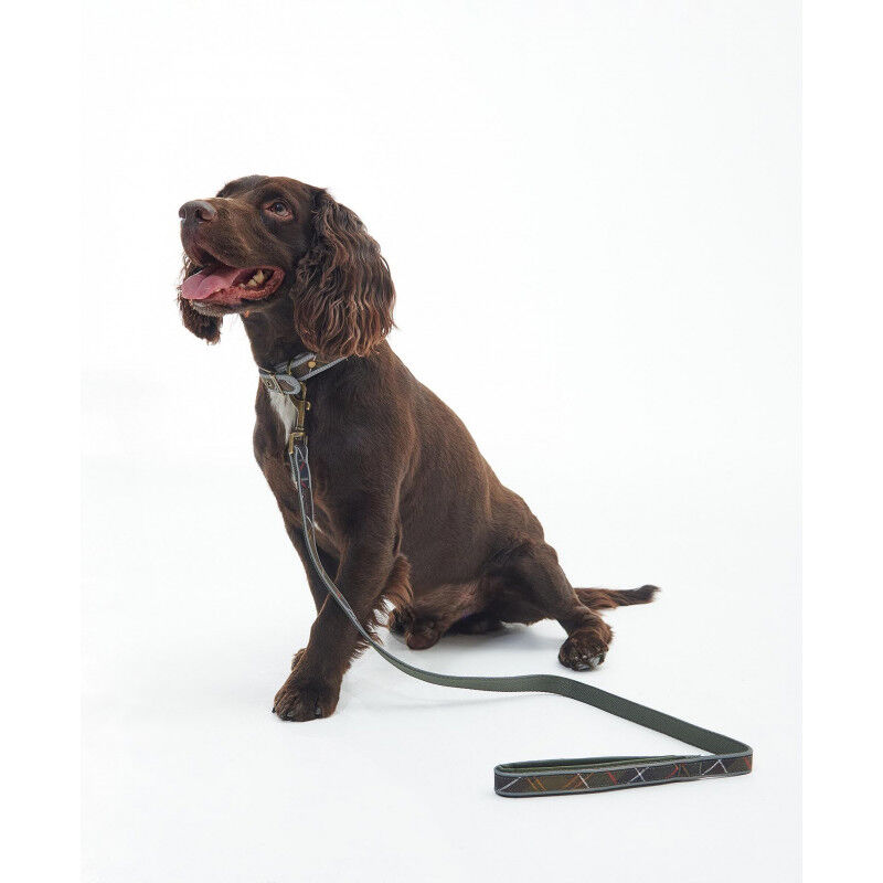 Barbour Reflective Tartan Comfort Lead - Dog collar | Hardloop
