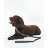 Barbour Reflective Tartan Comfort Lead - Collare per cani | Hardloop