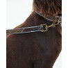 Barbour Reflective Tartan Comfort Lead - Dog collar | Hardloop