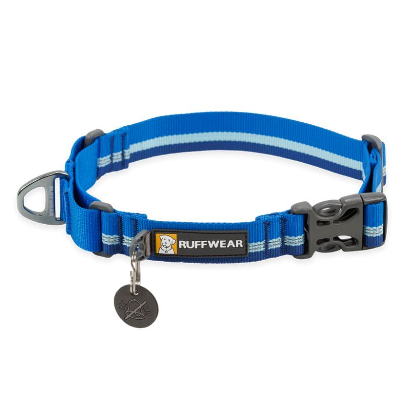 Web Reaction - Hondenhalsband