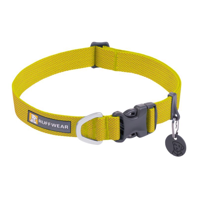 Hi & Light Collar - Coleira para cachorro