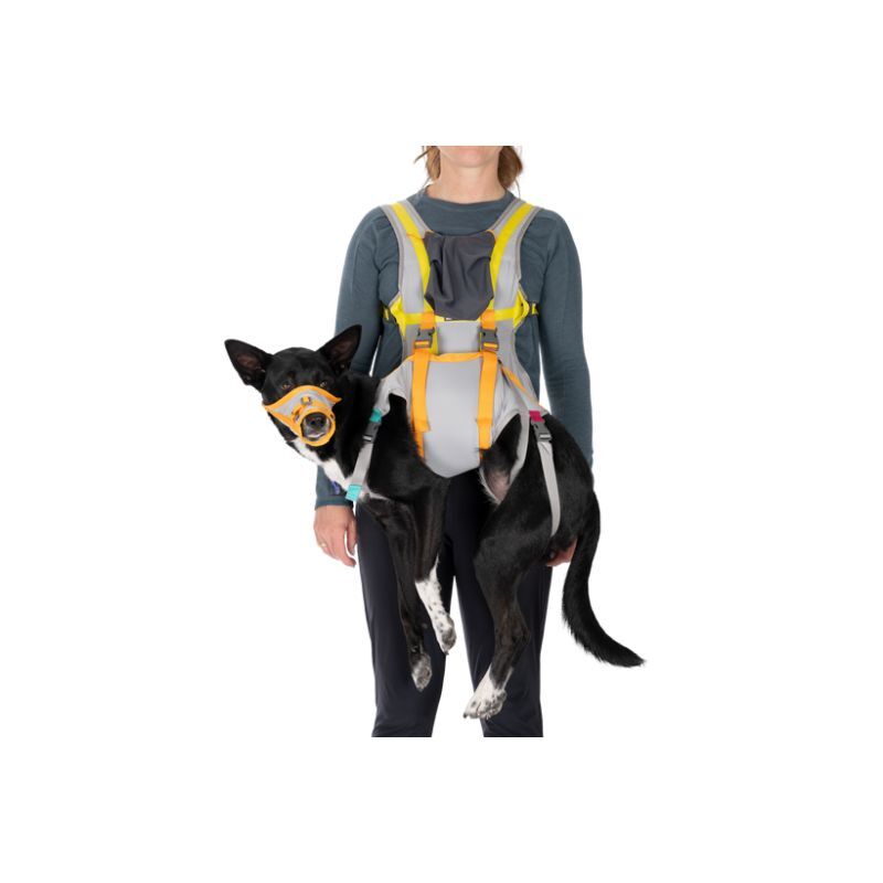 BackTrak Dog Evacuation Kit - Hundeseler
