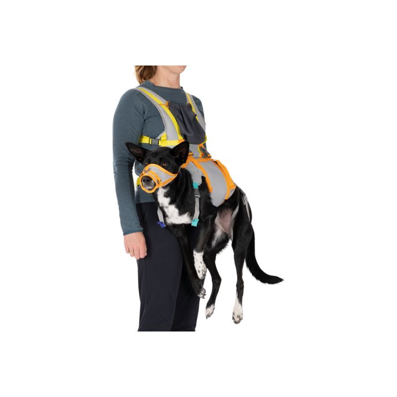 Ruffwear BackTrak Dog Evacuation Kit - Postroj pro psa | Hardloop