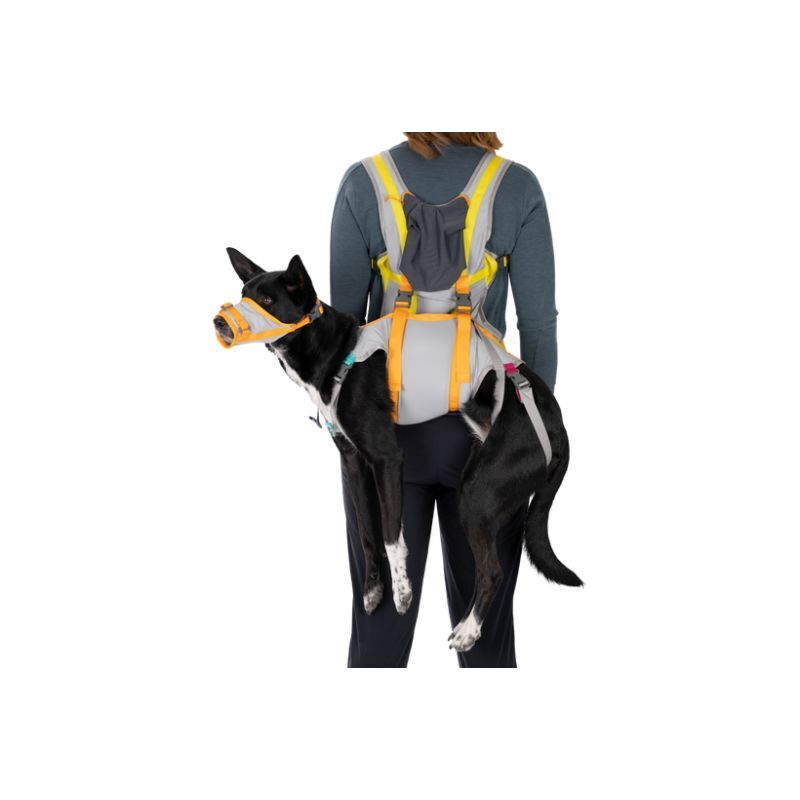 Ruffwear BackTrak Dog Evacuation Kit - Koiran valjaat | Hardloop
