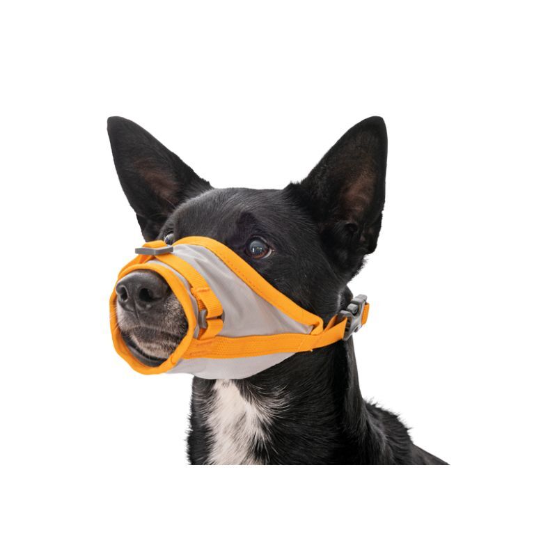 Ruffwear BackTrak Dog Evacuation Kit - Arnês para cachorro | Hardloop