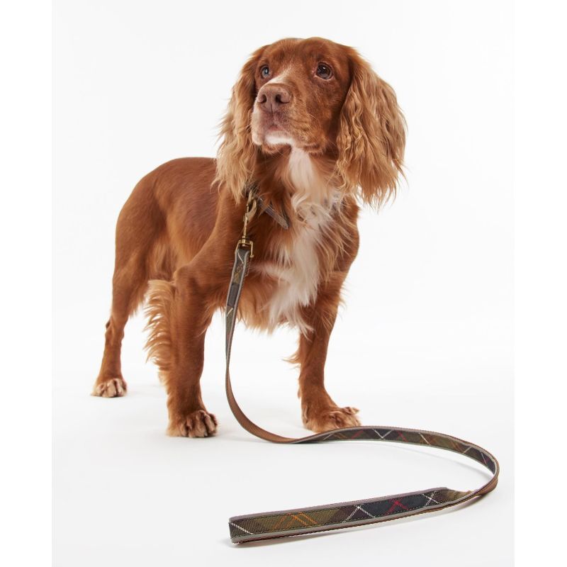 Barbour Reflective Tartan Comfort Collar Hundehalsband Hardloop