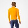 Vivid Orange / Dark Gray