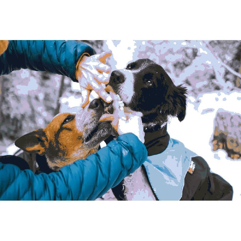 Non-stop dogwear Paw Care - Hundetilbehør | Hardloop