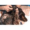 Non-stop dogwear Paw Care - Acessório para cachorro | Hardloop