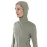icebreaker 260 Quantum IV LS Zip Hoodie - Merino Fleecevest - Dames | Hardloop