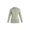 icebreaker 260 Quantum IV LS Zip Hoodie - Merino Fleecejacka - Dam | Hardloop