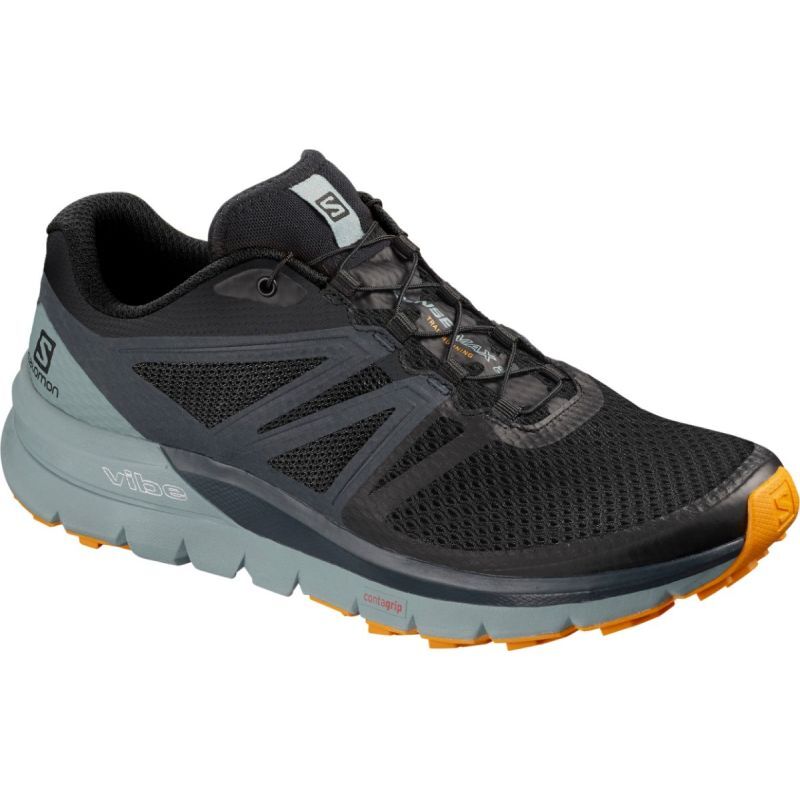 Salomon Sense Max 2 - Chaussures trail homme | Hardloop