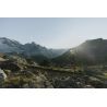 Altra Lone Peak 9+ - Trailrunningschuhe - Damen | Hardloop