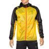 Yellow / Black