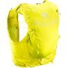 Sulphur Spring / Lemonelle