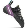 Black / Violet / Milk