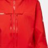 Mammut Haldigrat HS Hooded Jacket - Ski jacket - Men's