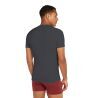 Icebreaker Anatomica Short Sleeve Crewe en Mérinos - T-shirt en laine mérinos homme I Hardloop | Hardloop