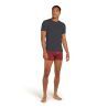 Icebreaker Anatomica Short Sleeve Crewe en Mérinos - T-shirt en laine mérinos homme I Hardloop | Hardloop