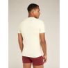 Icebreaker Anatomica Short Sleeve Crewe en Mérinos - Merino shirt - Men's I Hardloop