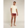 Icebreaker Anatomica Short Sleeve Crewe en Mérinos - Merino shirt - Men's I Hardloop