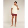 Icebreaker Anatomica Short Sleeve Crewe en Mérinos - Merino shirt - Men's I Hardloop