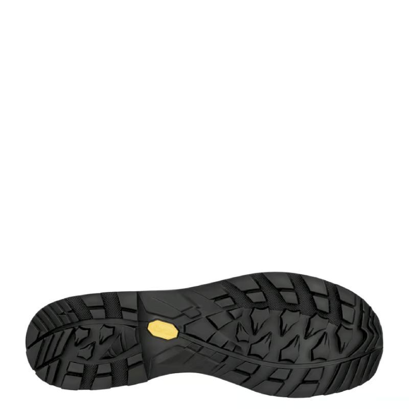 Lowa Lady GTX - Chaussures trekking femme | Hardloop