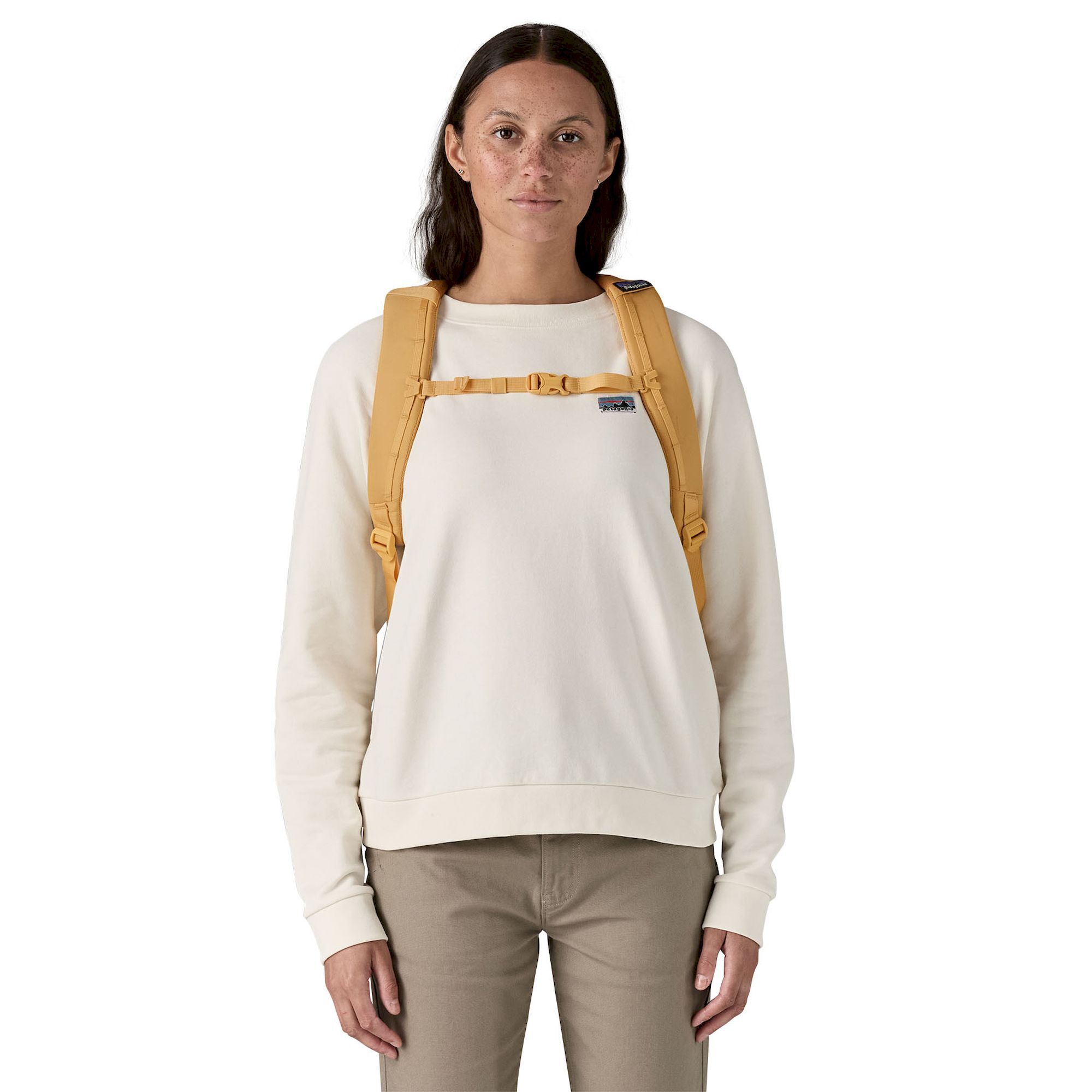 Patagonia Refugio Day Pack 26L - Walking backpack