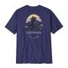 Solstice Purple