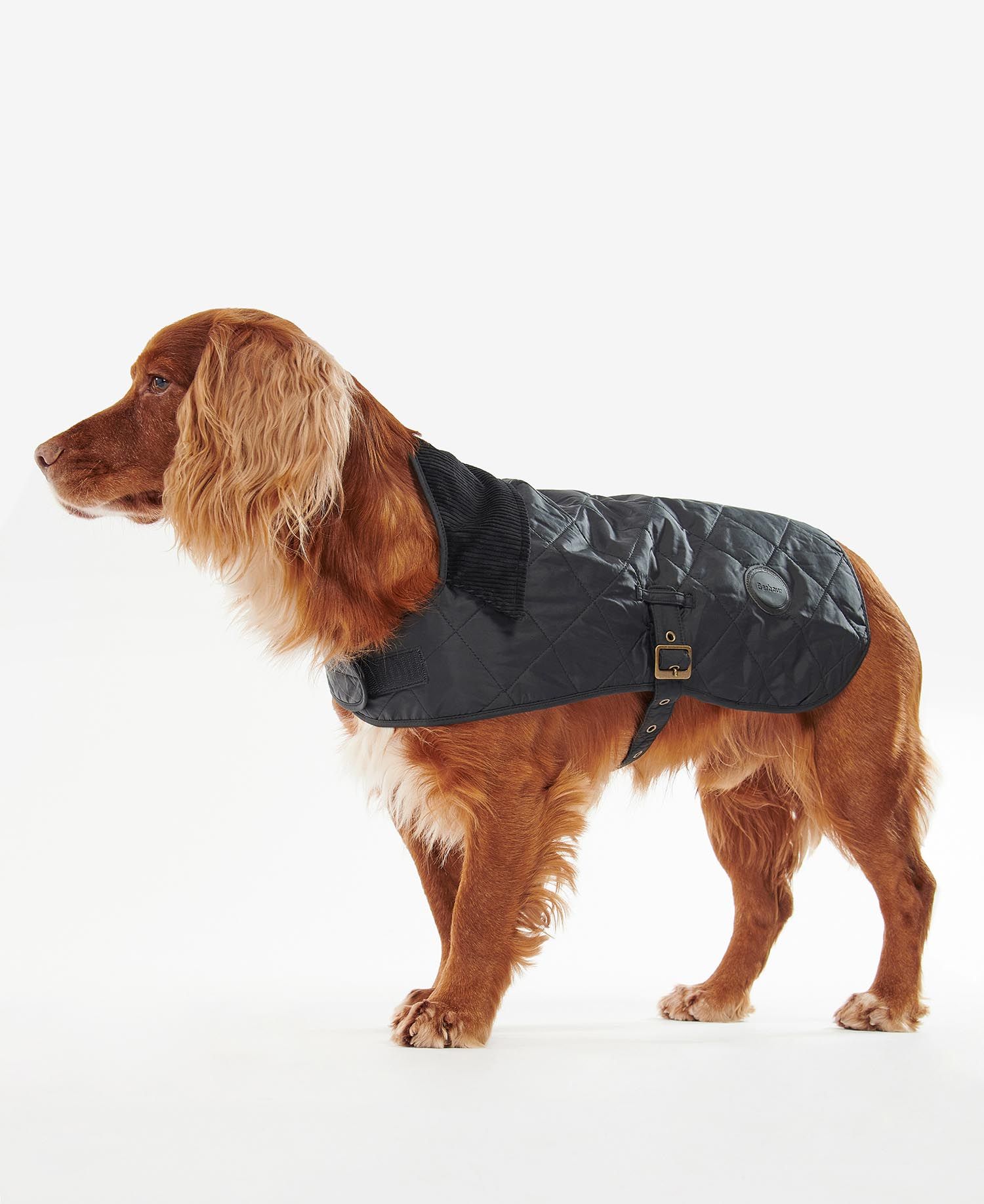 Barbour Quilted Dog Coat - Kurtka dla psa | Hardloop