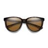 Smith Seeker ChromaPop Cat 3 - Occhiali da sole | Hardloop