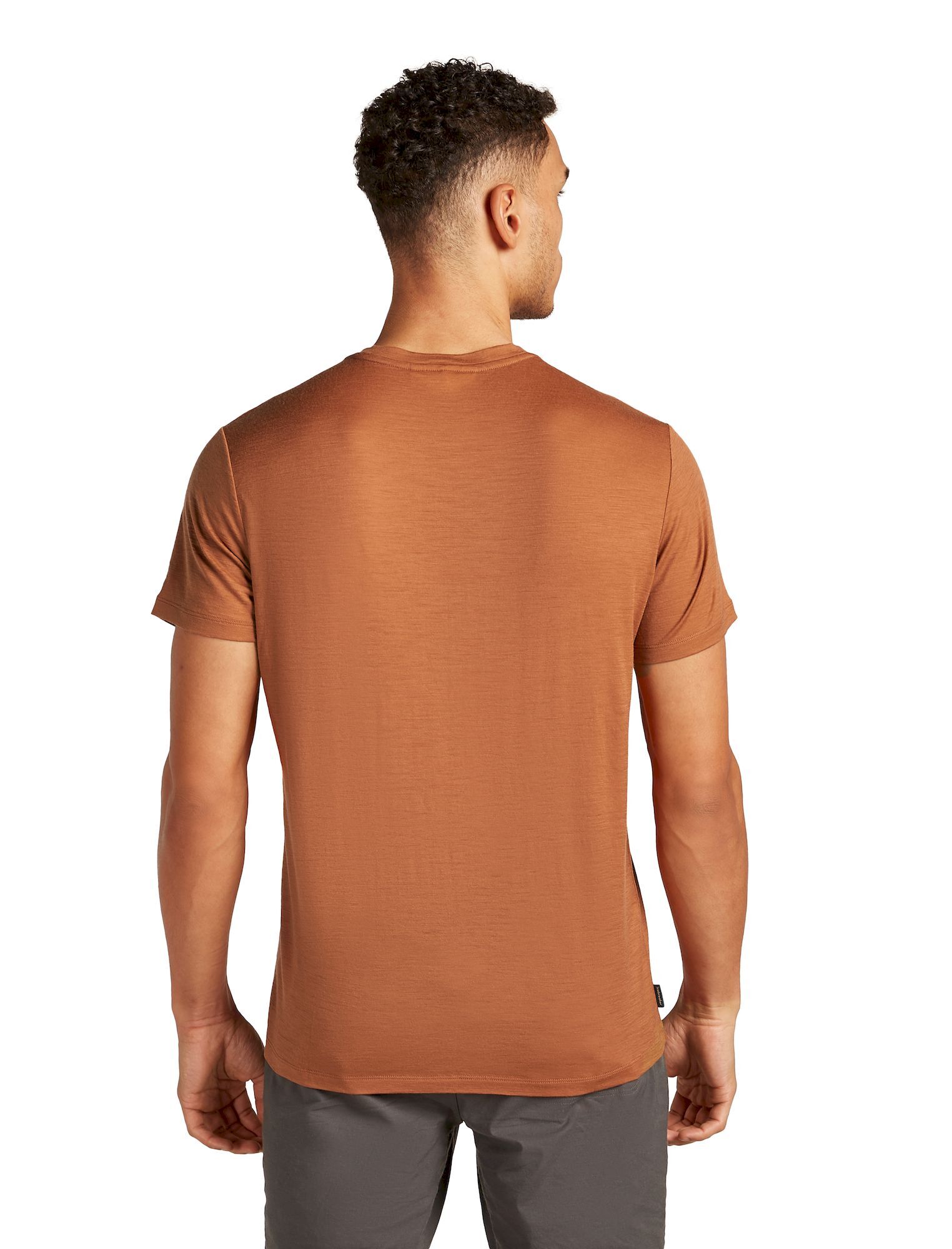 Icebreaker Merino 150 Tech Lite III SS Tee Van Camp - Maglia merino - Uomo | Hardloop