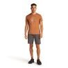 Icebreaker Merino 150 Tech Lite III SS Tee Van Camp - Merinoshirt - Heren | Hardloop