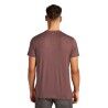 Icebreaker Merino 150 Tech Lite III SS Tee - Merino shirt - Men's | Hardloop