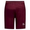 La Sportiva Roots Shorts M - Klimshort - Heren | Hardloop