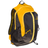 Black / Yellow