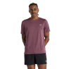 FDP