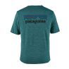 P-6 Logo: Tasmanian Teal X-Dye