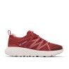 Dusty Crimson / Pink Haze