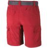 Mountain Red